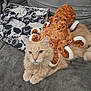 animal, cat, couch, cozy, cream_cat, cute, feline, fur, gray, home, indoor, looking, octopus, pet, pillow, plush_toy, relaxed, seated, skull_pattern, soft_toy