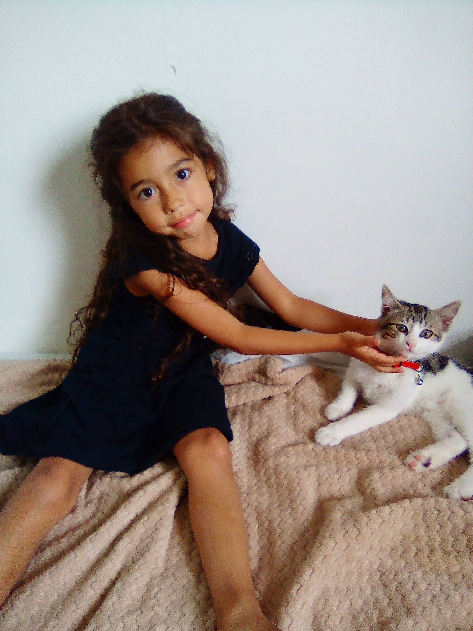 Alya a rejoint le concours — aidez-le/la à gagner de superbes lots ! carnivore, cat, comfort, dress, fawn, felidae, flash_photography, happy, human_body, human_leg, joint, knee, leg, long_hair, person, shoulder, skin, small_to_medium_sized_cats, smile, thigh