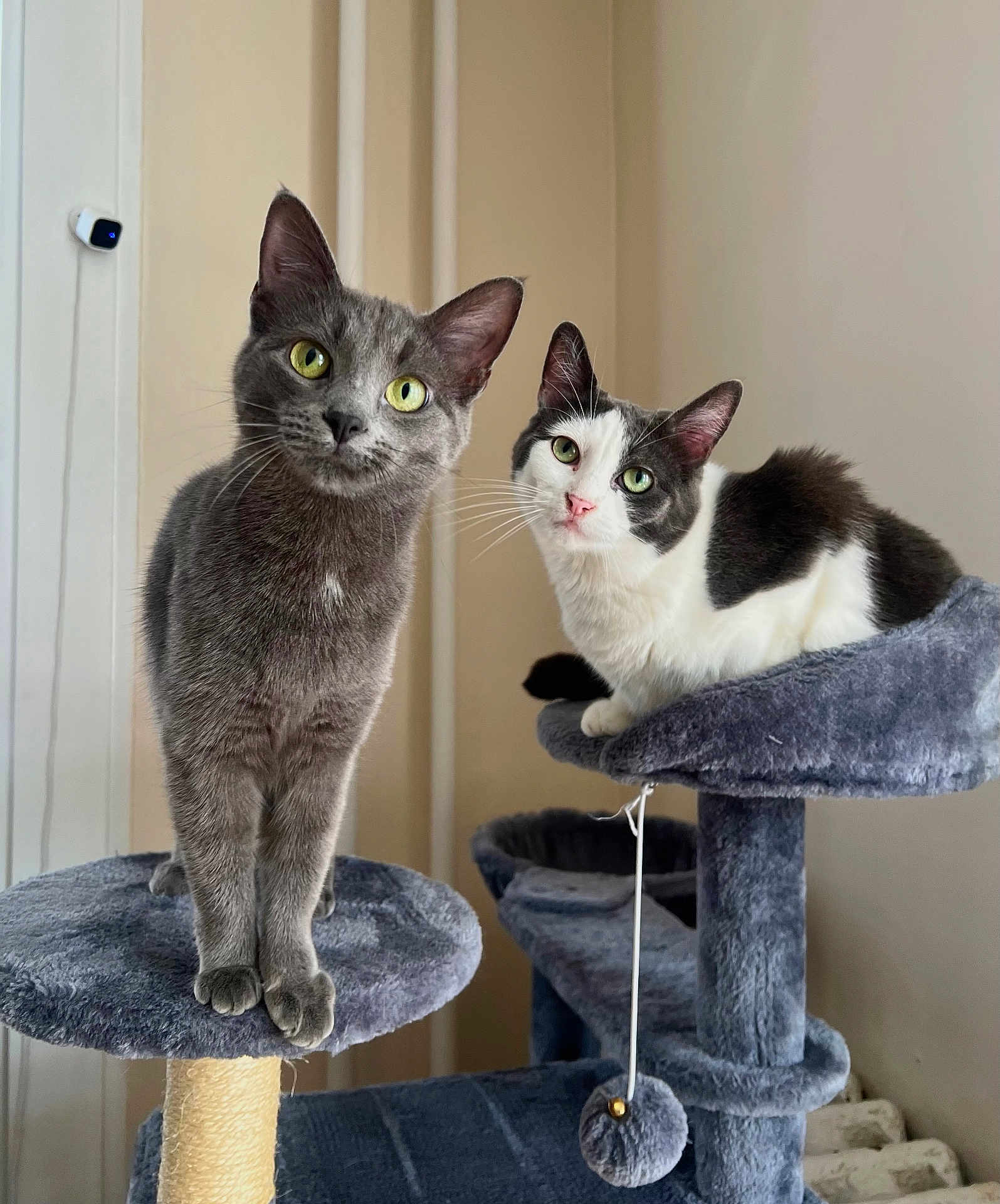 Lilith And Oden