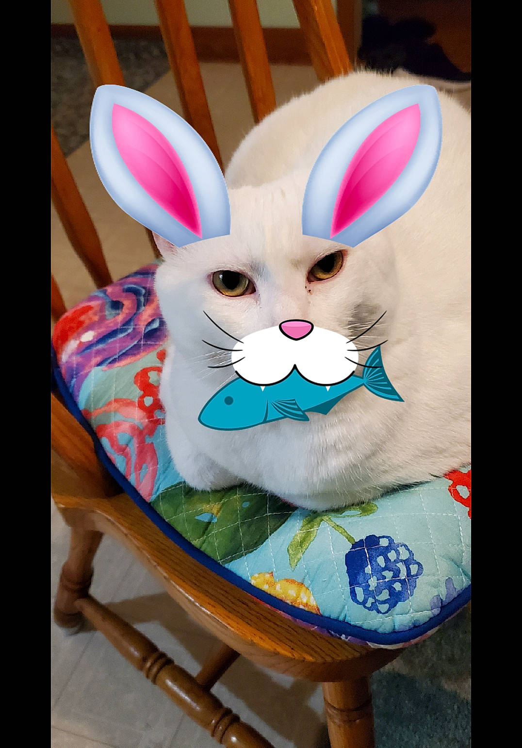 Snowball joined the competition — help win amazing prizes! chair, domestic_rabbit, ear, easter, easter_bunny, fawn, felidae, font, fur, grass, hare, mammal, pattern, rabbit, rabbits_and_hares, snout, stuffed_toy, textile, toy, whiskers