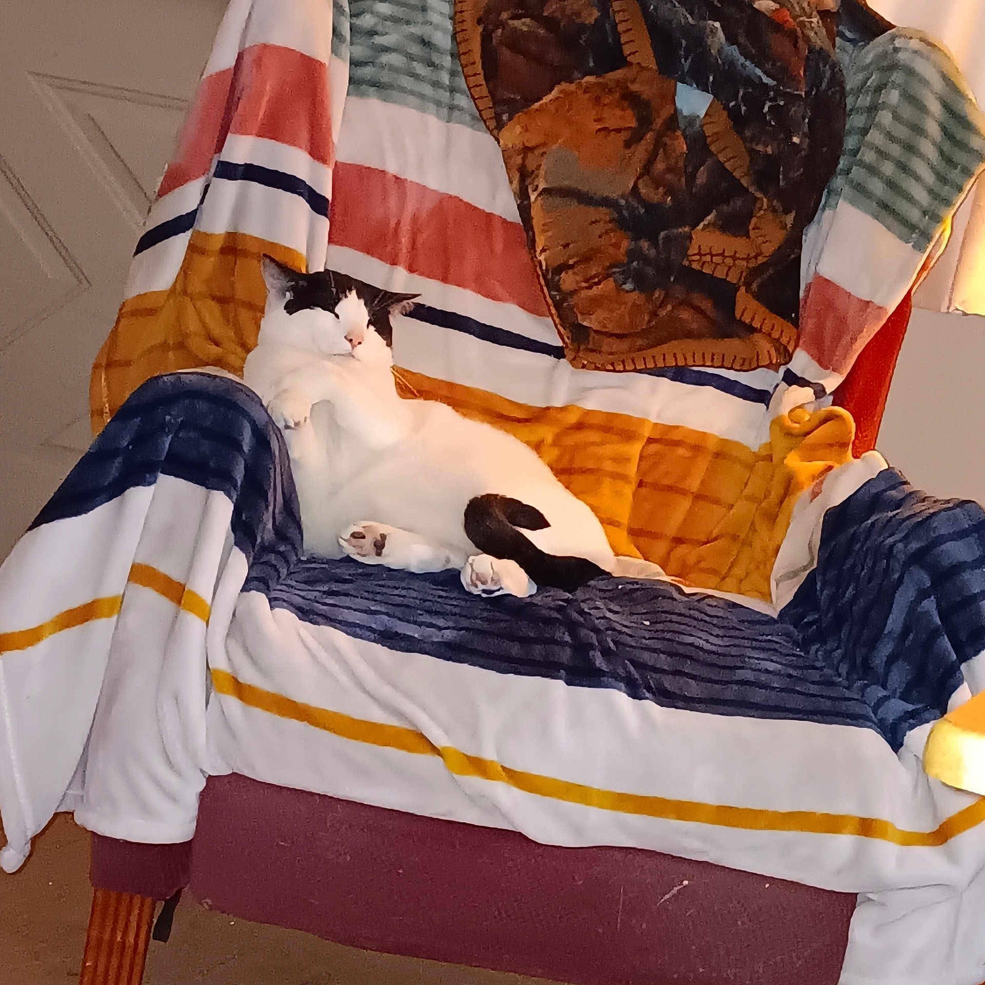 Oreo joined the competition — help win amazing prizes! baby_products, bag, baggage, carmine, comfort, fashion_accessory, felidae, flag, flag_of_the_united_states, fur, linens, luggage_and_bags, orange, outdoor_furniture, pattern, room, shoulder_bag, textile