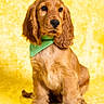 dog, puppy, golden_retriever, bandana, green_bandana, yellow_background, portrait, pet, cute, floppy_ears, sitting, fur, animal, young_dog, studio, bright, adorable, canine, friendly, indoors