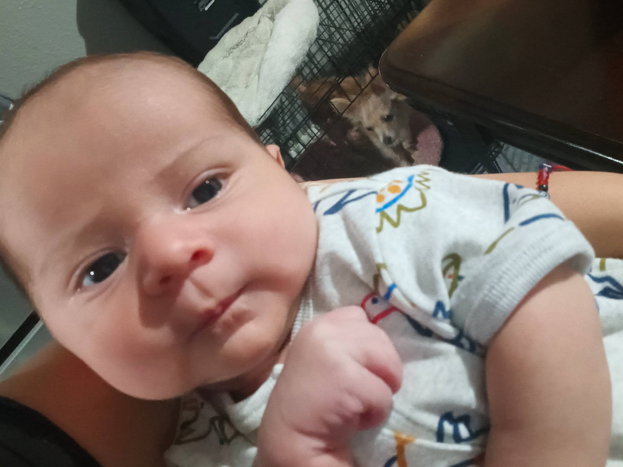 Nikolas is registered to the contest to win money with this photo: baby, baby_toddler_clothing, cheek, child, comfort, ear, eyebrow, eyelash, finger, fun, happy, iris, lip, mouth, nail, nose, person, skin, smile, thumb