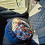 Joey is registered to the contest to win money with this photo: dog, pet, car_interior, dog_bed, sleeping, clothing, halloween_theme, pumpkin, ghost, seat, seatbelt, sunlight, leather_seat, blue, grey, orange, cozy, cute, resting, small_dog