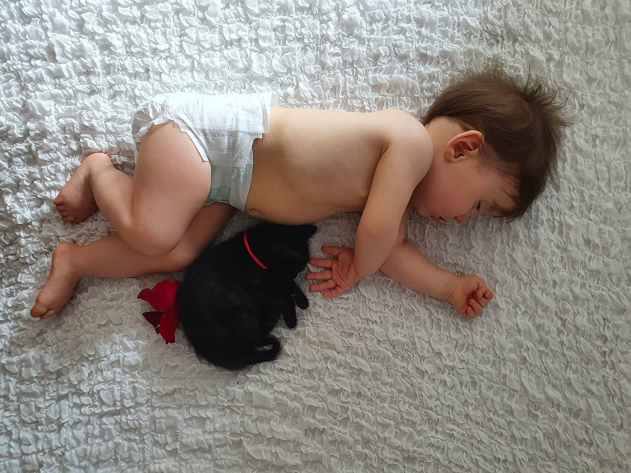 Moïra participe au concours pour gagner de l'argent avec cette photo : arm, barefoot, comfort, fawn, finger, floor, flooring, foot, fun, grass, hand, head, human_body, knee, leg, mammal, person, skin, thigh, trunk