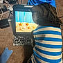 cat, striped_shirt, tablet, starfish, seashell, carpet, blue_toy, electronics, cables, household_items, pet, indoor, screen, animal, feline, clothing, striped_pattern, technology, watching, toy