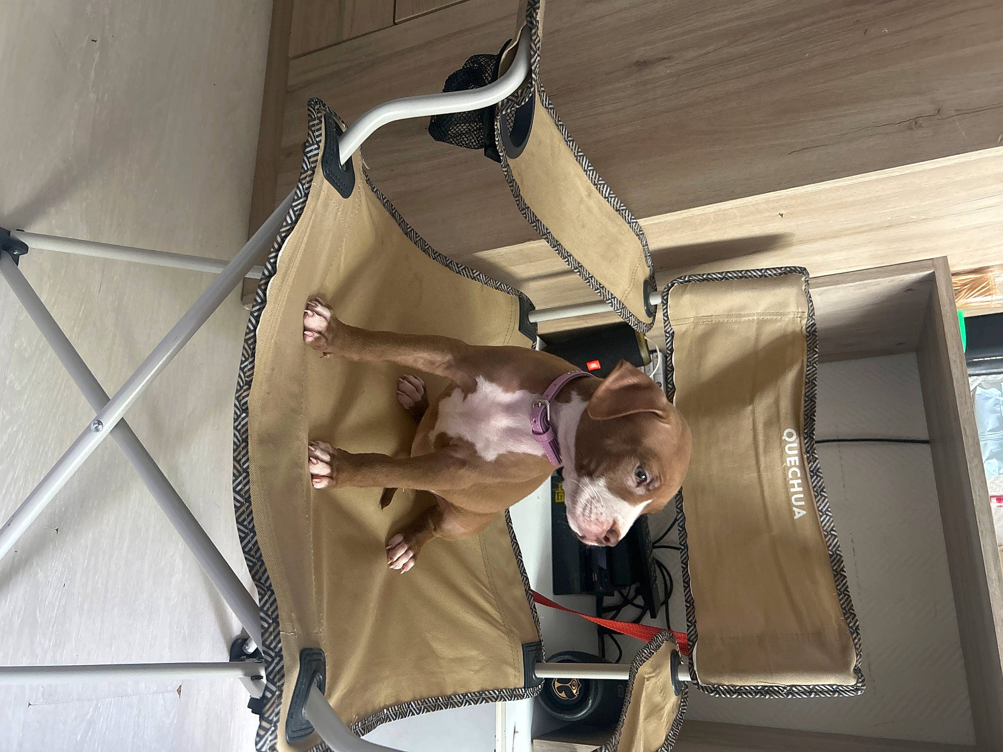 Rose a rejoint le concours — aidez-le/la à gagner de superbes lots ! automotive_design, ceiling, machine, metal, room, wood