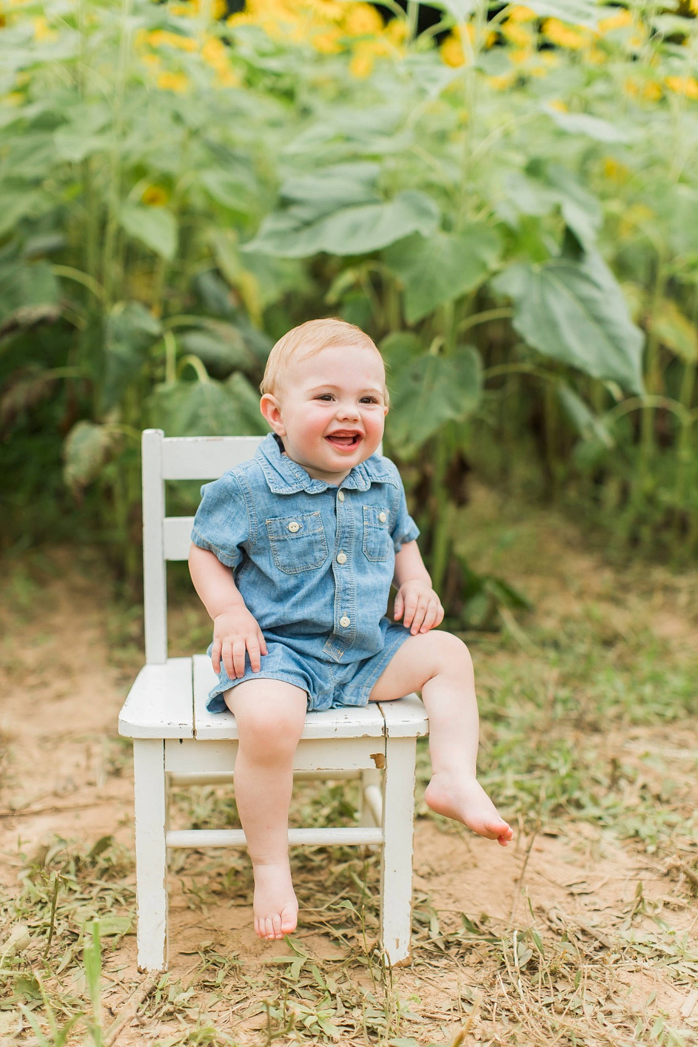 Miles joined the competition — help win amazing prizes! baby, baby_toddler_clothing, chair, dress, eye, face, flower, grass, happy, joy, leisure, people_in_nature, person, plant, shorts, skin, smile, summer, t_shirt, toddler