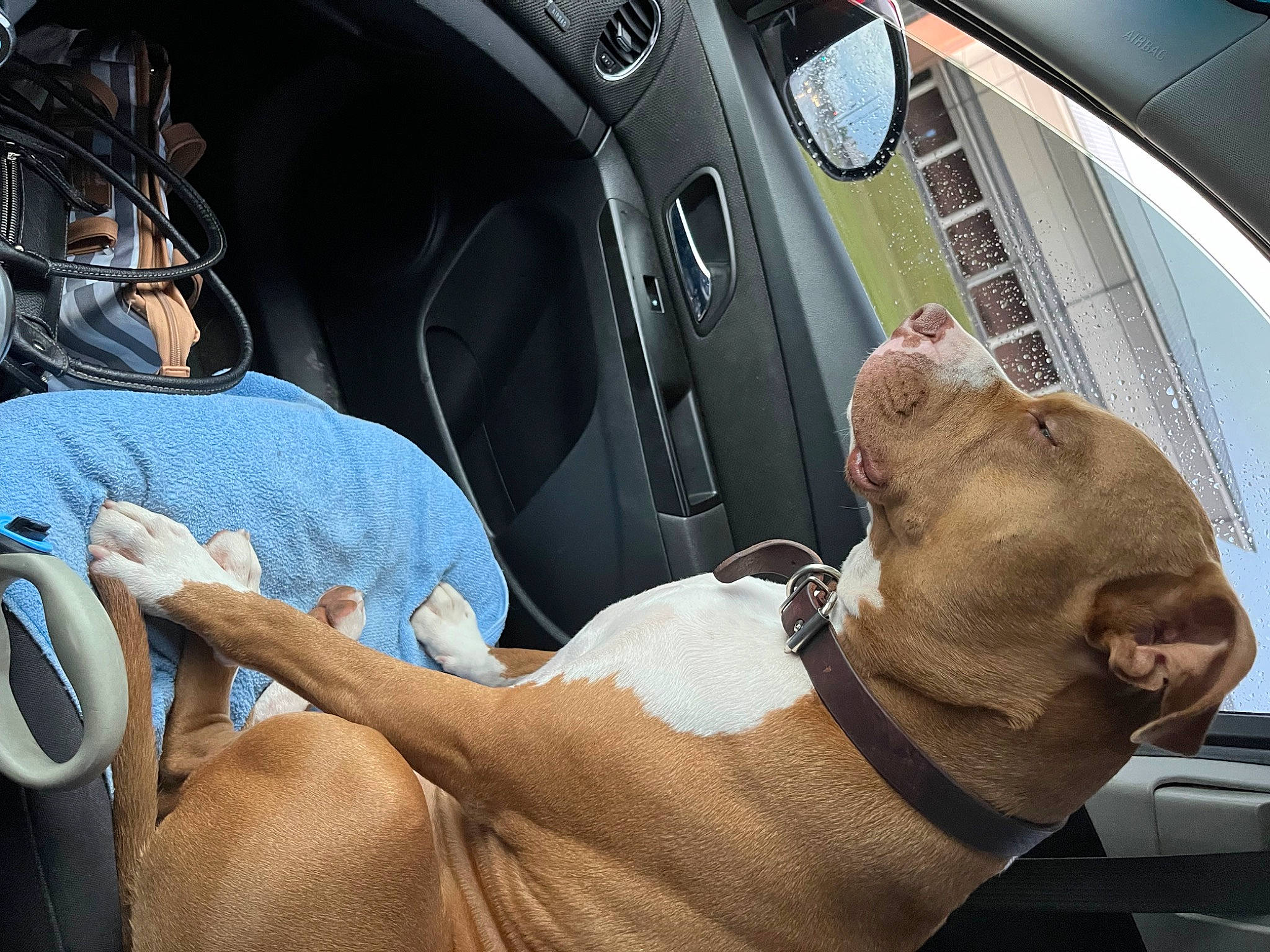 Oden Leake joined the competition — help win amazing prizes! auto_part, automotive_design, automotive_exterior, automotive_mirror, car, car_seat, car_seat_cover, center_console, comfort, family_car, gear_shift, mode_of_transport, motor_vehicle, personal_luxury_car, steering_part, steering_wheel, vehicle, vehicle_door, window, windshield