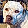 Jaxx