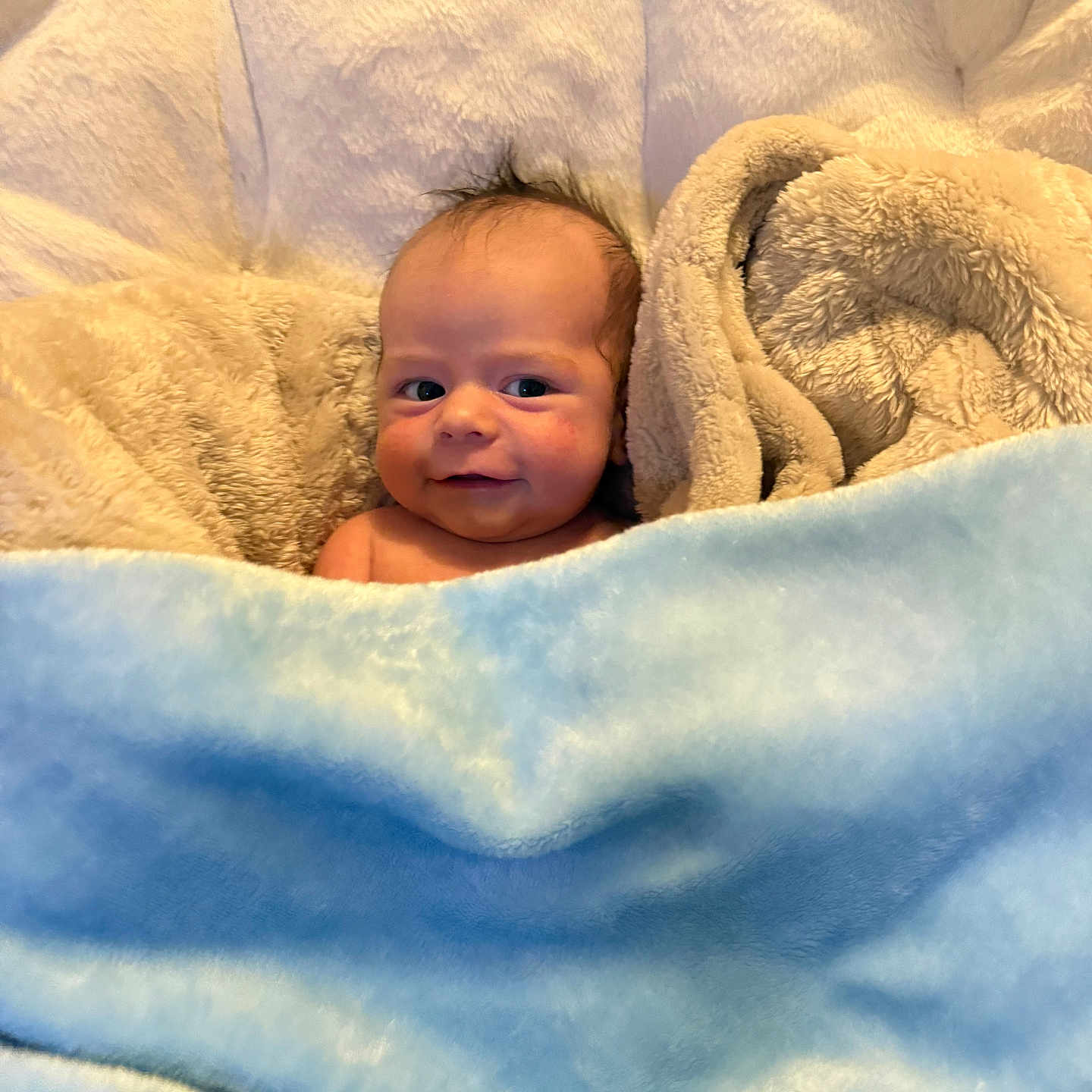 Khoyn is registered to the contest to win money with this photo: baby, beige_blanket, blanket, blue_blanket, child, comfort, cozy, cute, expression, face, hair, indoors, infant, nest, portrait, skin, smile, soft_texture, warmth, wrapped