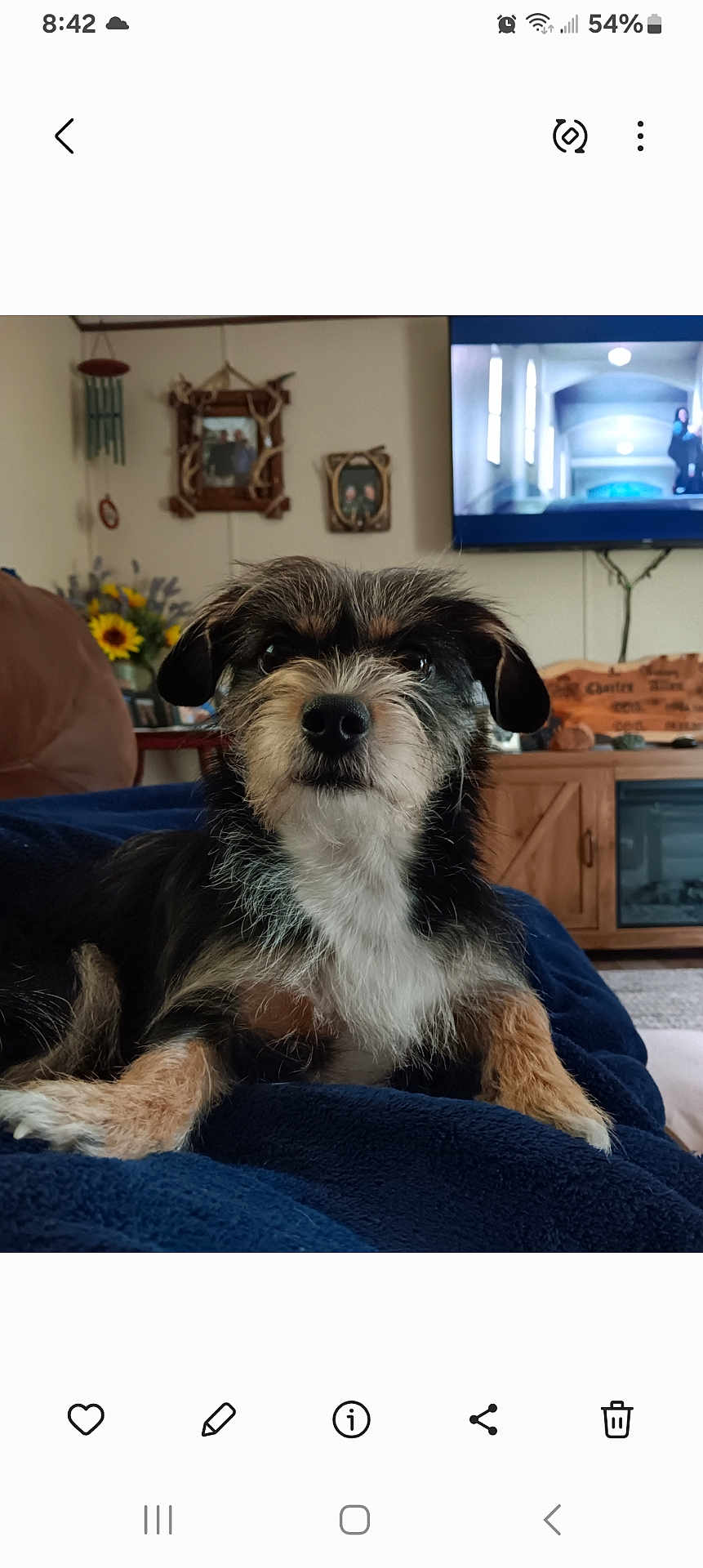 Roxy