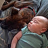 Montie joined the competition — help win amazing prizes! animal, baby, calm, child, closeup, companion, cozy, cuddle, dog, home, indoor, infant, nap, peaceful, pet, relaxation, rest, sleeping, soft_light, striped_shirt