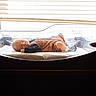 baby, bassinet, bed, blinds, child, furniture, hospital, indoor, infant, light, maternity, newborn, peaceful, person, quiet, resting, sleeping, soft_light, transparent, window
