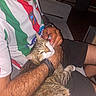 cat, comfort, content, couch, feline, hairy_arm, hand, indoor, lap, night, person, pet, relaxing, scratching, seated, shirt, shorts, striped_shirt, tabby_cat, watch