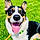 Buckley