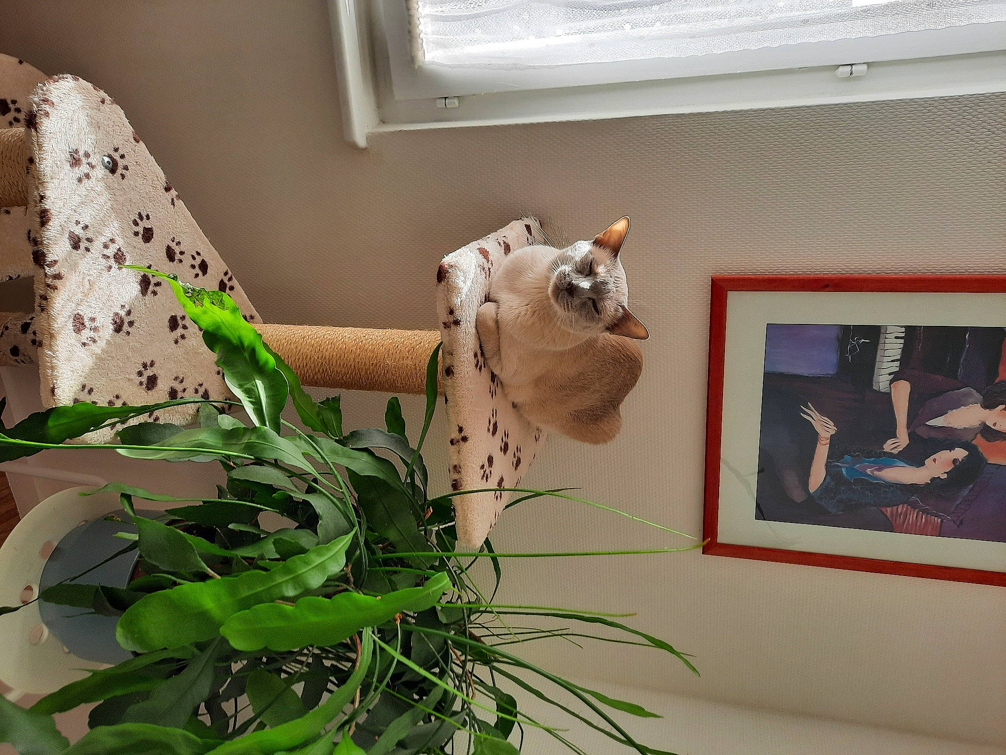 Jacket a rejoint le concours — aidez-le/la à gagner de superbes lots ! art, ceiling, creative_arts, felidae, floor, flooring, flower_arranging, house, houseplant, interior_design, linens, living_room, organism, picture_frame, plant, rectangle, visual_arts, wall, window, wood