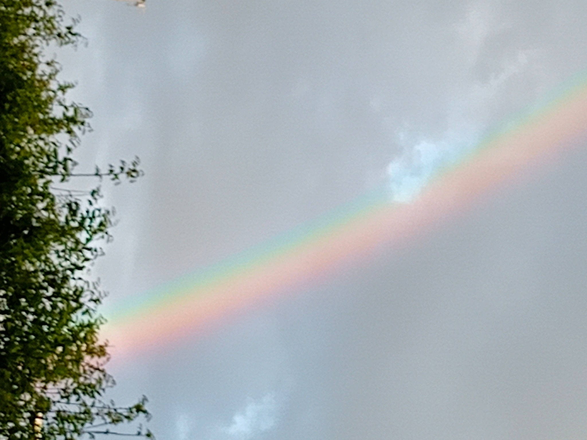 Doudou a rejoint le concours — aidez-le/la à gagner de superbes lots ! art, atmosphere, cloud, cumulus, evening, event, horizon, landscape, meteorological_phenomenon, natural_landscape, plant, rainbow, science, sky, tree