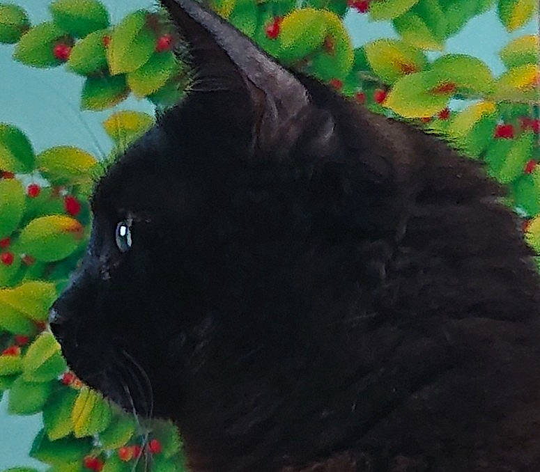 Noisette a rejoint le concours — aidez-le/la à gagner de superbes lots ! black, black_cat, bombay, carnivore, cat, felidae, kitten, mammal, nebelung, plant, small_to_medium_sized_cats, vertebrate, whiskers