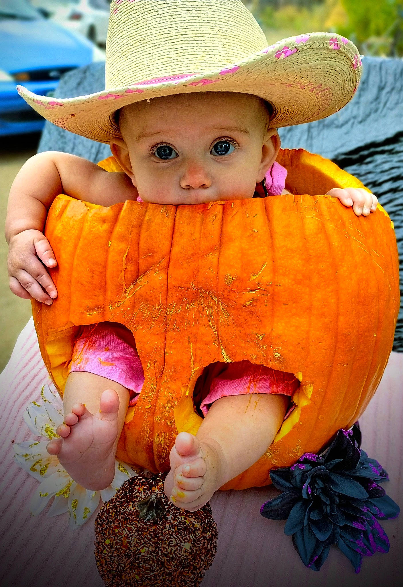 Aspen joined the competition — help win amazing prizes! calabaza, child, cowboy_hat, cucurbita, doll, eye, fruit, gourd, happy, hat, head, headwear, natural_foods, orange, person, pumpkin, purple, squash, sun_hat, toddler