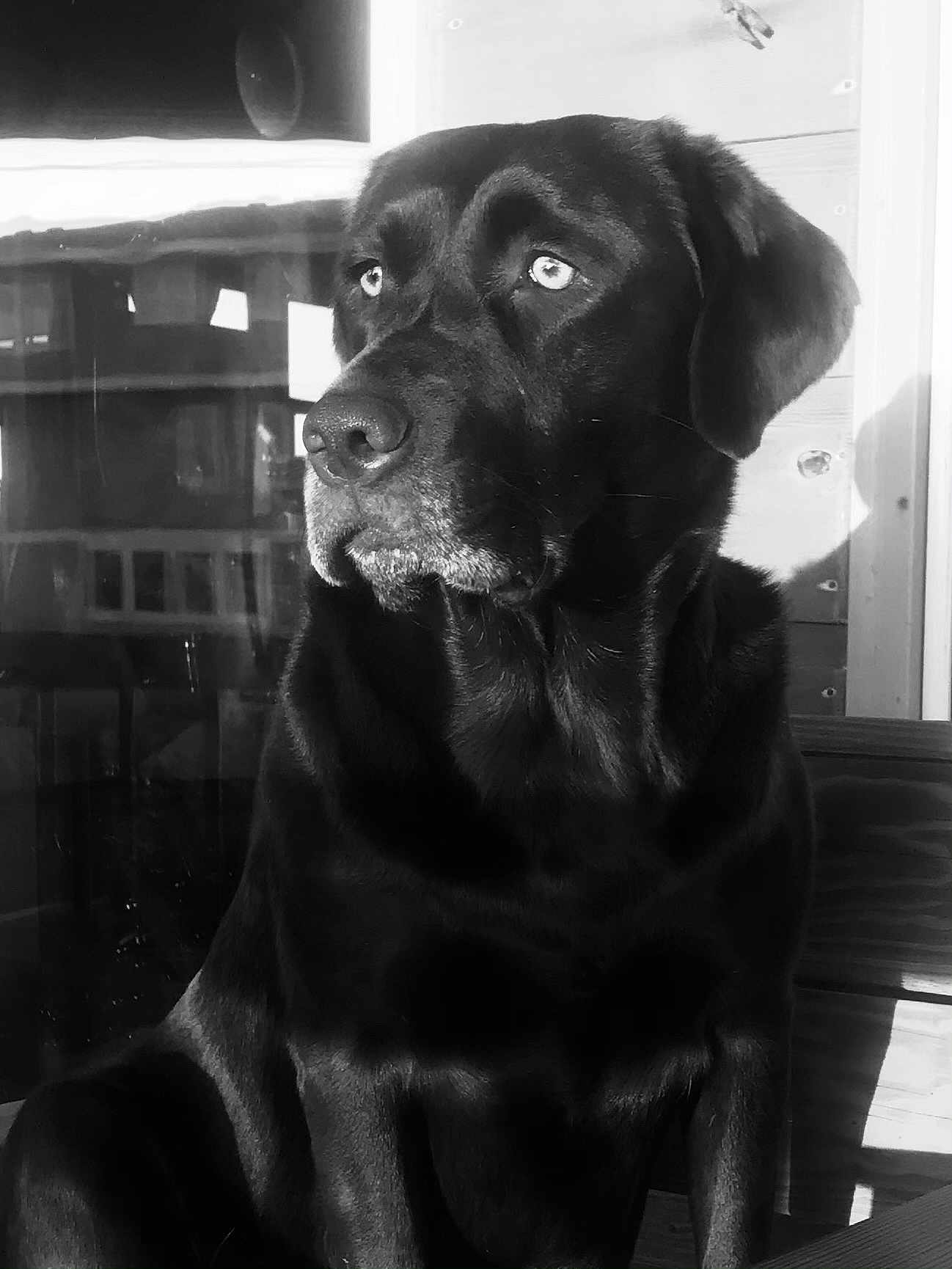 Morgan