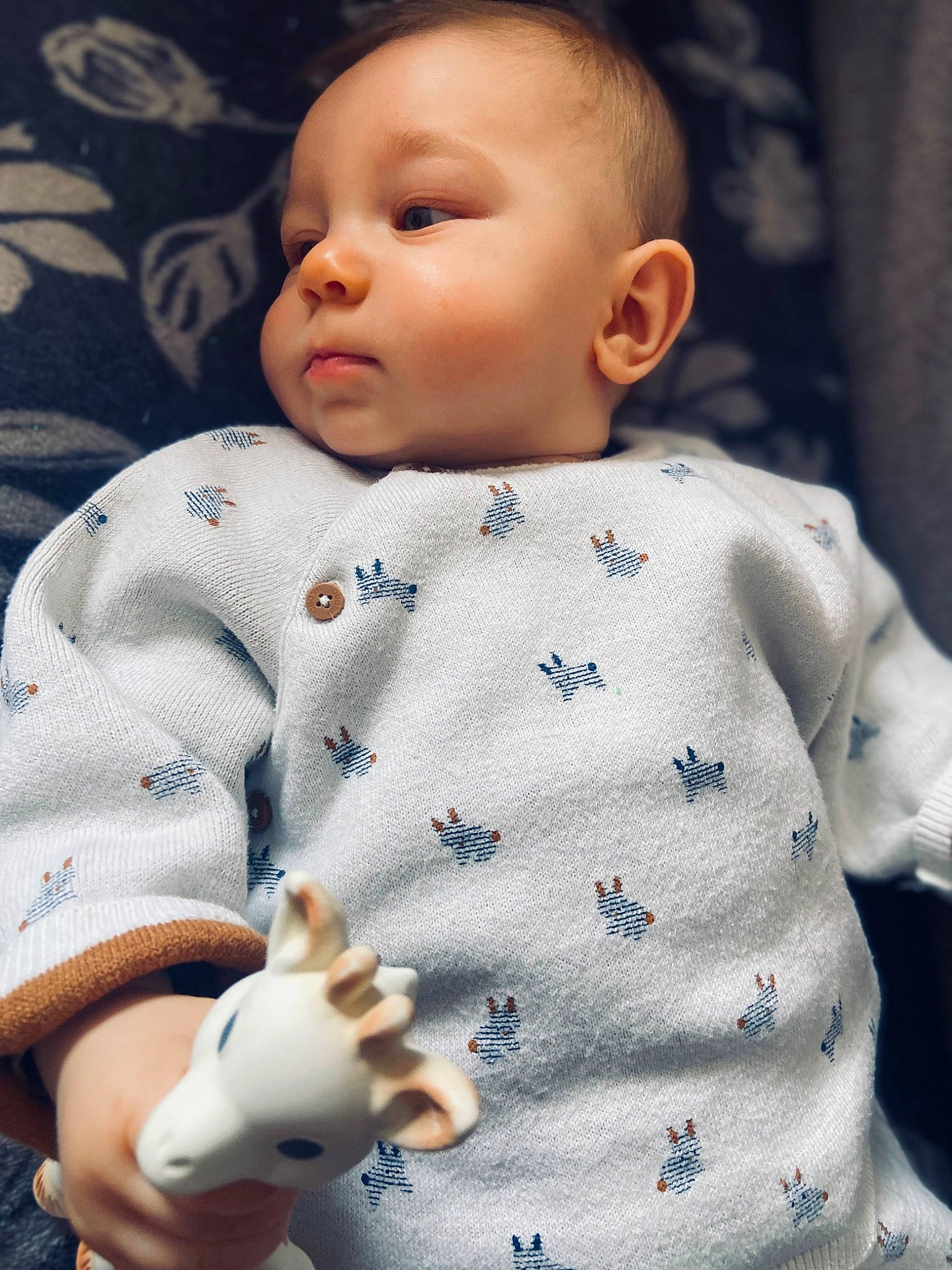 Diego a rejoint le concours — aidez-le/la à gagner de superbes lots ! baby, baby_toddler_clothing, cheek, child, chin, collar, comfort, facial_expression, finger, lip, nose, outerwear, pattern, people, person, skin, sleeve, standing, textile, toddler