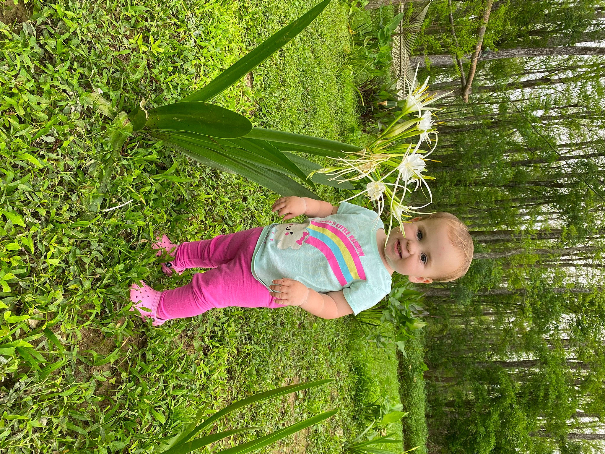 Haislee is registered to the contest to win money with this photo: agriculture, baby_toddler_clothing, botany, child, flowering_plant, fun, garden, grass, grassland, groundcover, happy, joy, jungle, leisure, people_in_nature, person, plant, shrub, terrestrial_plant, toddler
