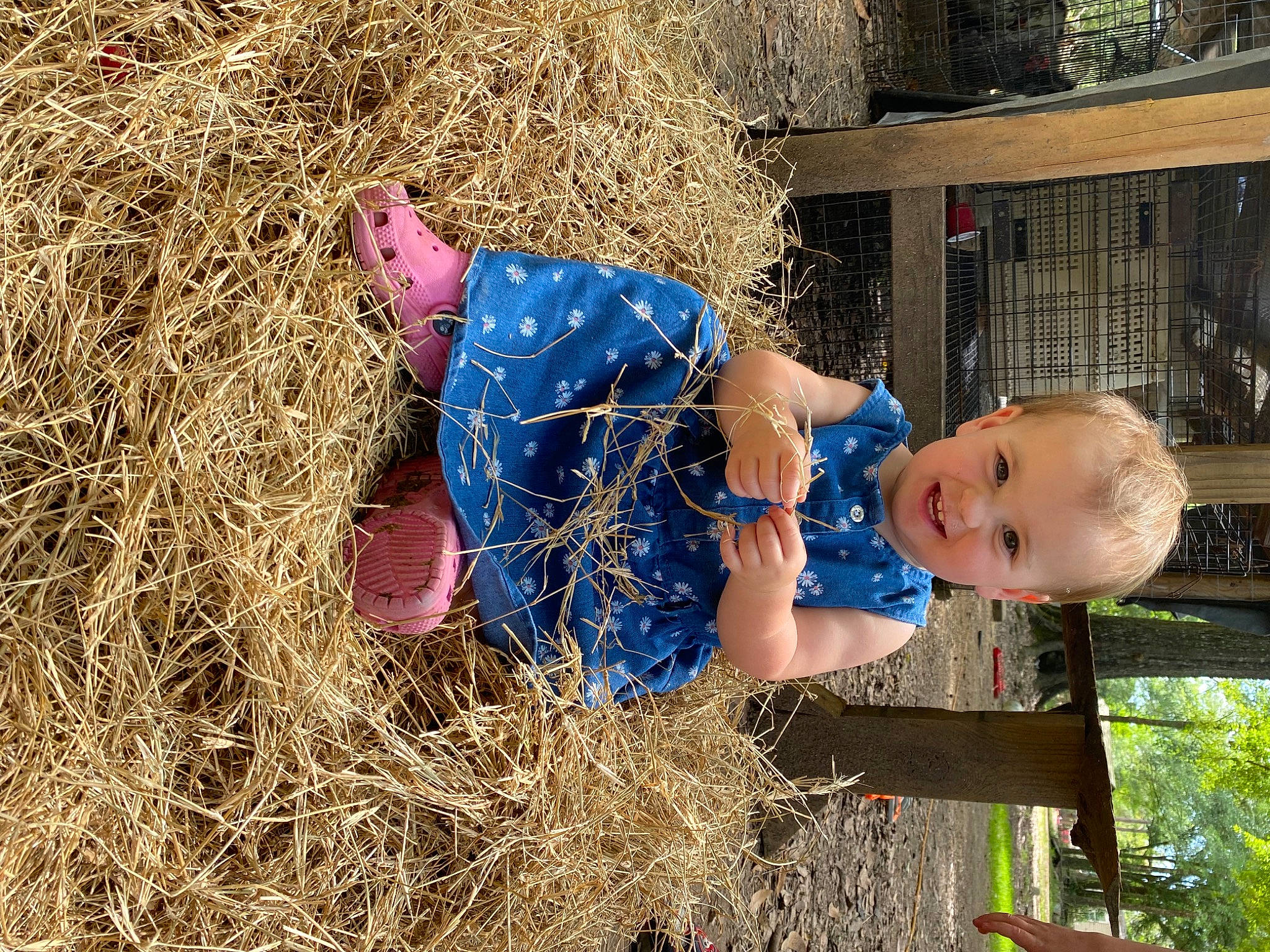 Haislee joined the competition — help win amazing prizes! adaptation, agriculture, baby, baby_toddler_clothing, child, electric_blue, field, fun, grass, grassland, happy, hay, joy, leisure, people_in_nature, person, smile, soil, straw, toddler