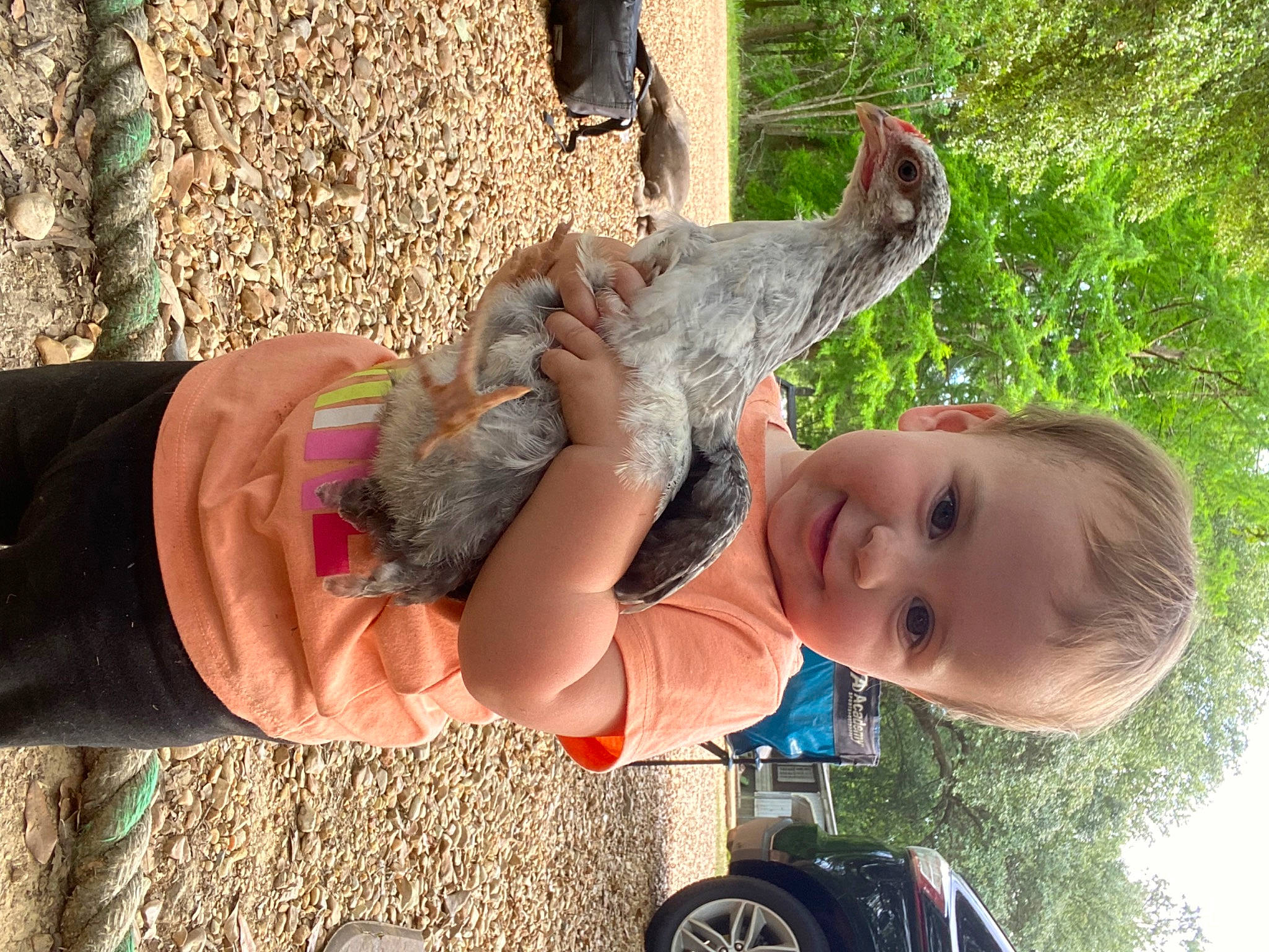 Haislee is registered to the contest to win money with this photo: baby, child, finger, fun, gesture, grass, hand, happy, joy, people_in_nature, person, photograph, plant, reptile, smile, terrestrial_animal, thumb, tire, toddler, tree
