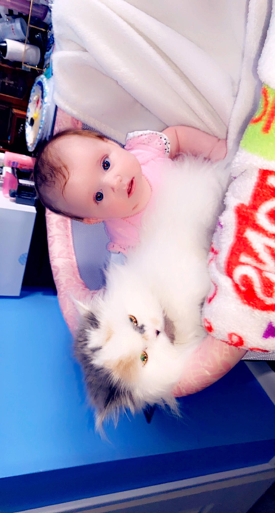 Angelica is registered to the contest to win money with this photo: fur, mammal, natural_material, peach, person, pink, plush, skin, toy, white