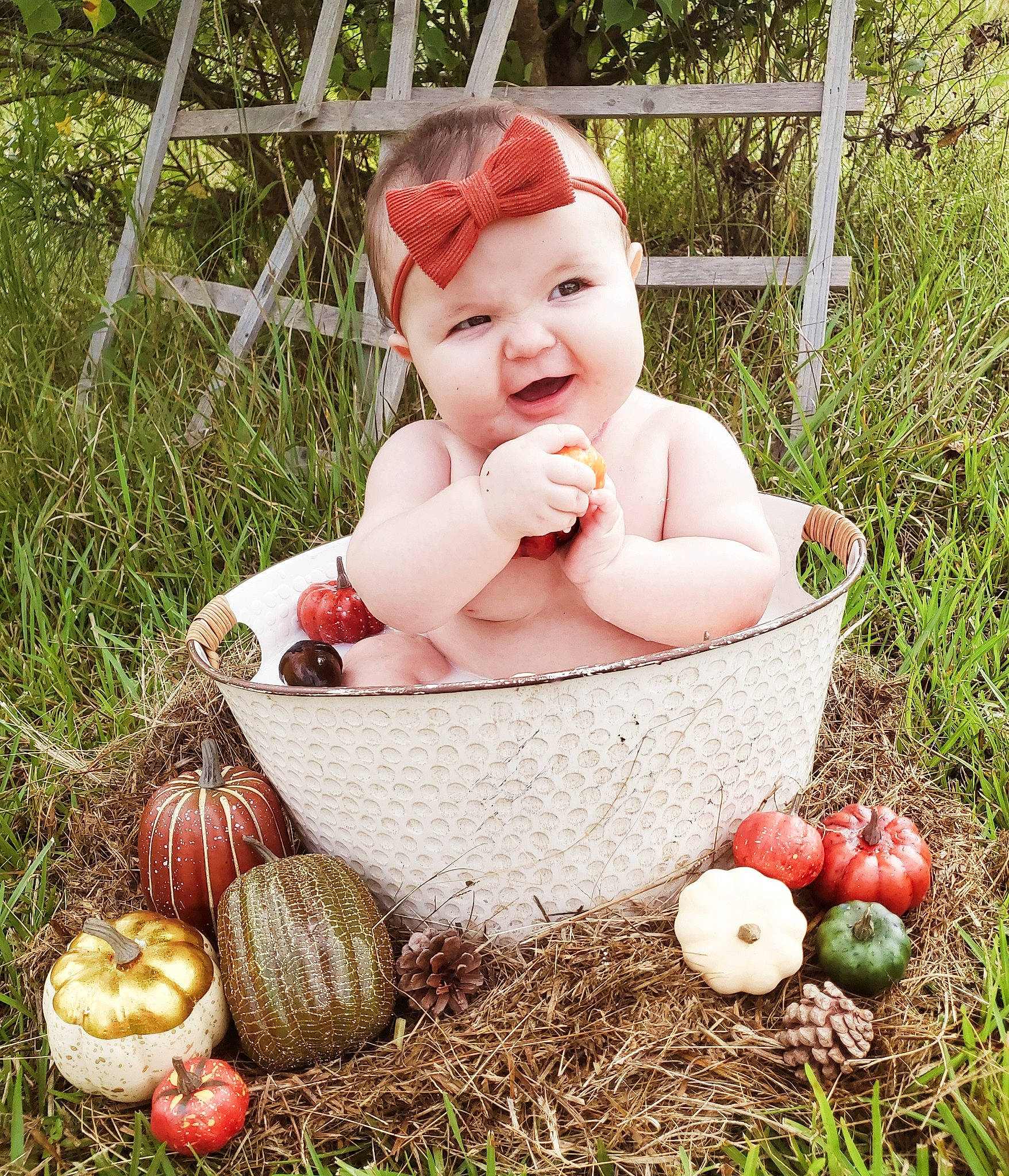 Dawson joined the competition — help win amazing prizes! apple, baby, baby_toddler_clothing, basket, calabaza, cucurbita, fruit, gourd, grass, happy, headwear, holiday, natural_foods, people_in_nature, person, plant, pumpkin, smile, toddler, tree