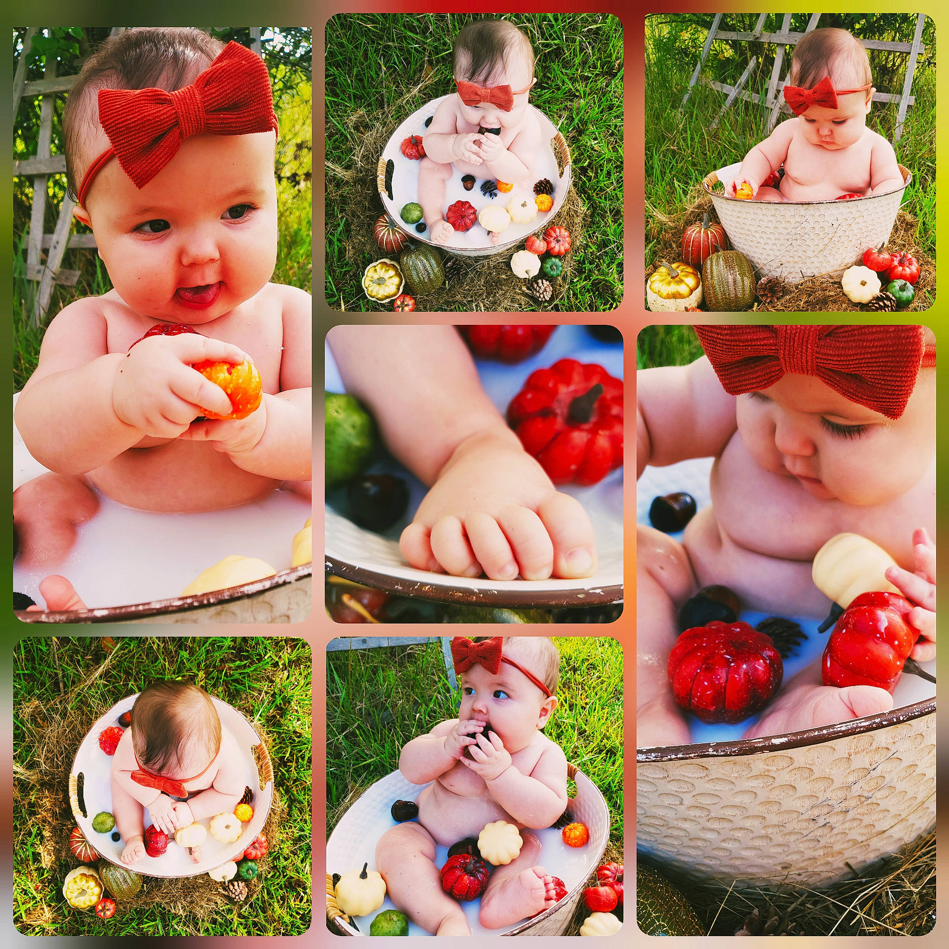 Dawson joined the competition — help win amazing prizes! art, baby, baby_toddler_clothing, child, circle, collage, facial_expression, grass, happy, headwear, organ, pattern, people_in_nature, person, photograph, plant, play, product, recreation, sharing