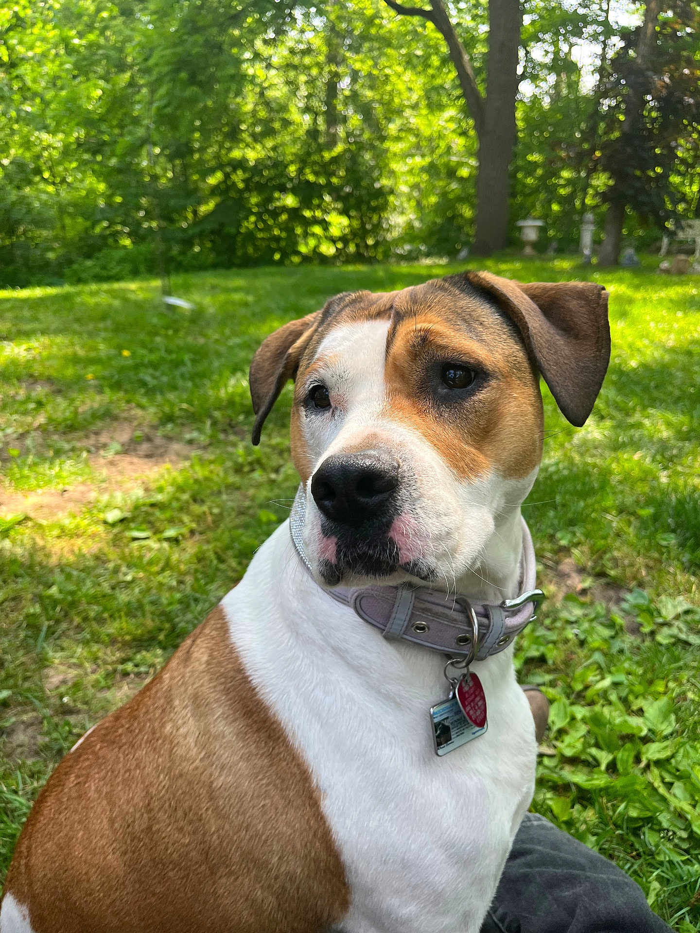 Winnie