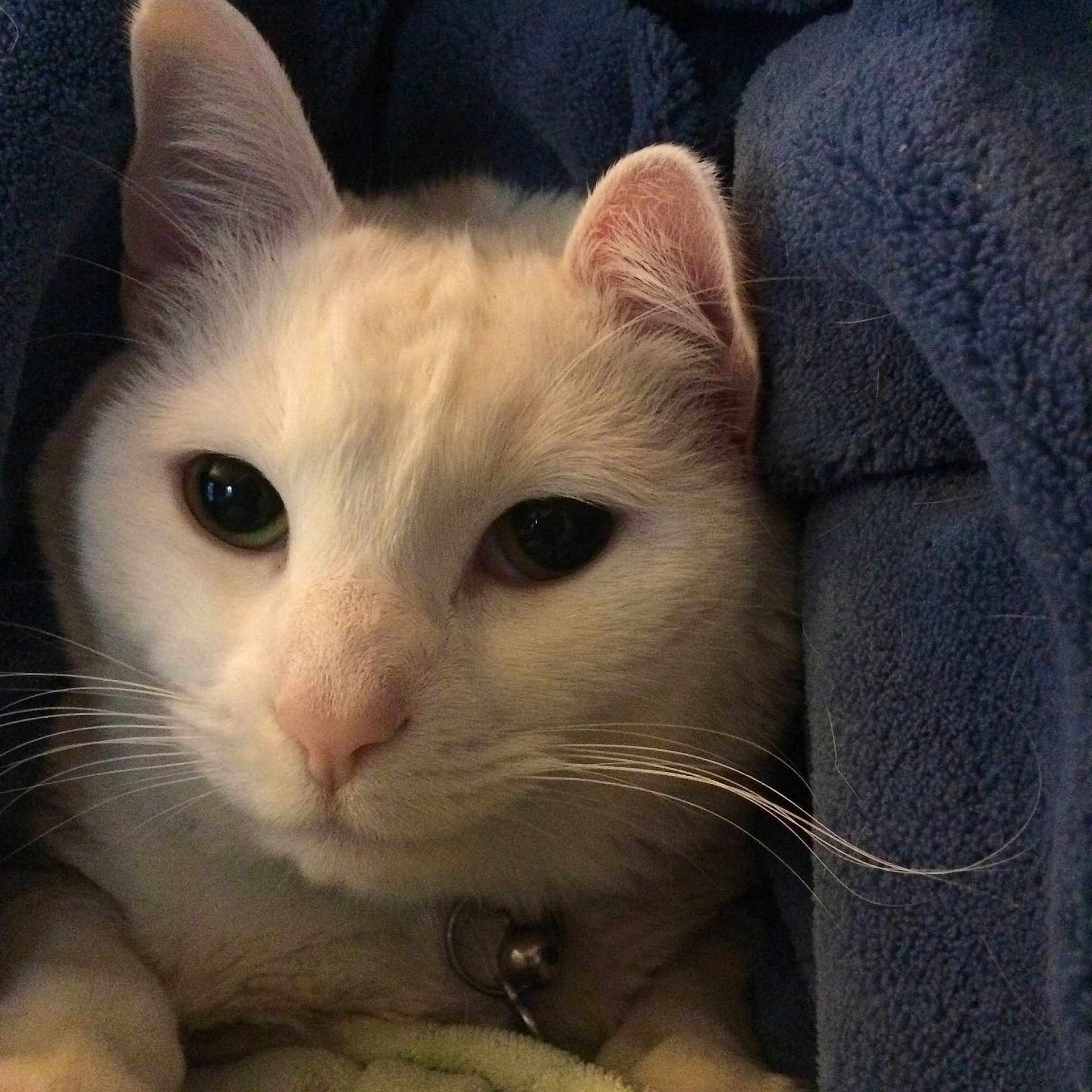 Dutchess joined the competition — help win amazing prizes!