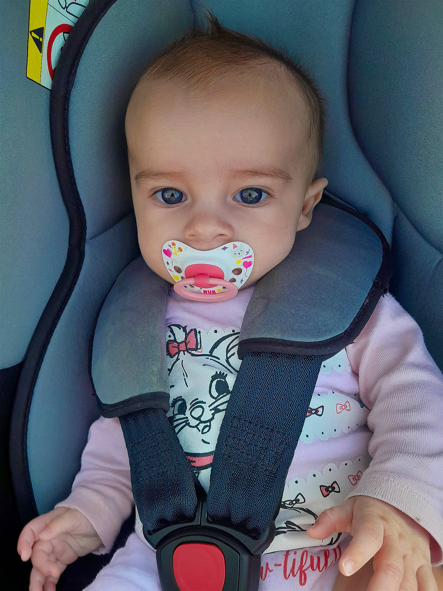 Cataleya participe au concours pour gagner de l'argent avec cette photo : auto_part, baby, baby_products, baby_toddler_clothing, car_seat, cheek, child, collar, comfort, dress_shirt, eyebrow, eyelash, mouth, neck, outerwear, person, product, sitting, sleeve, t_shirt