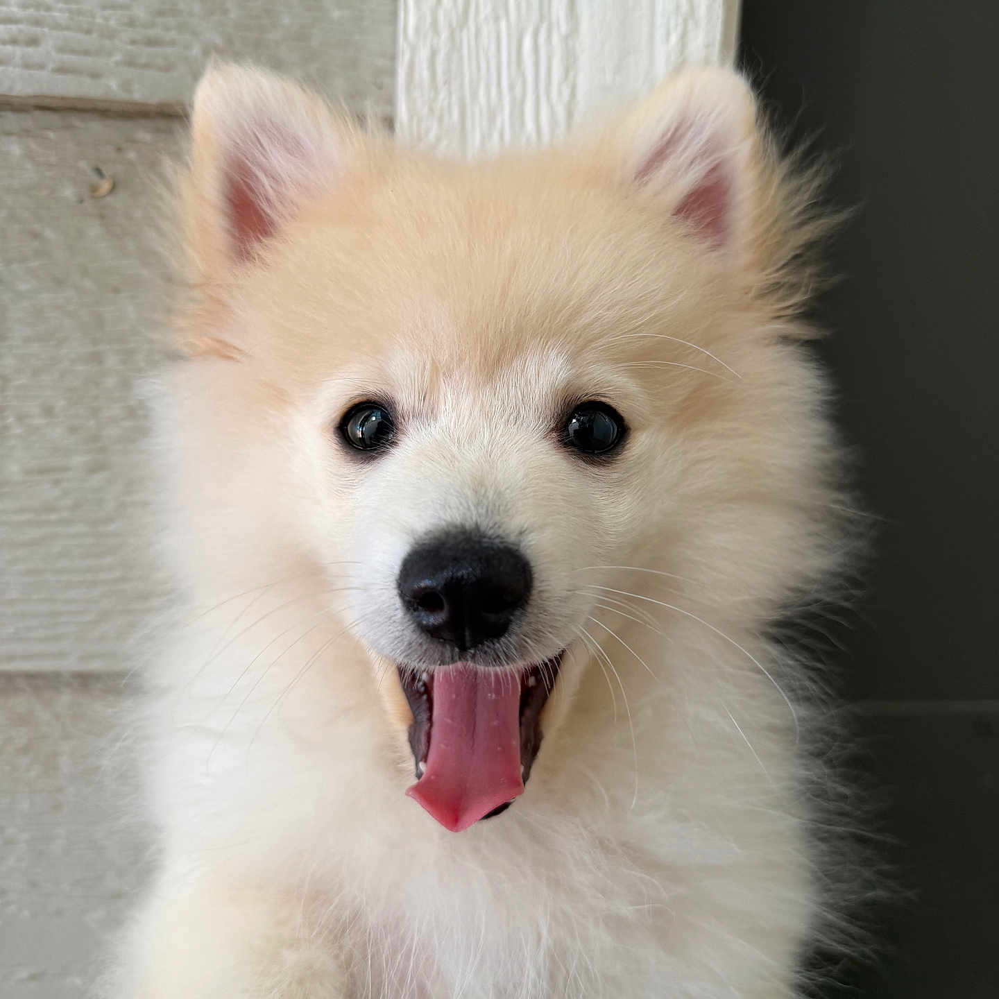 Coco