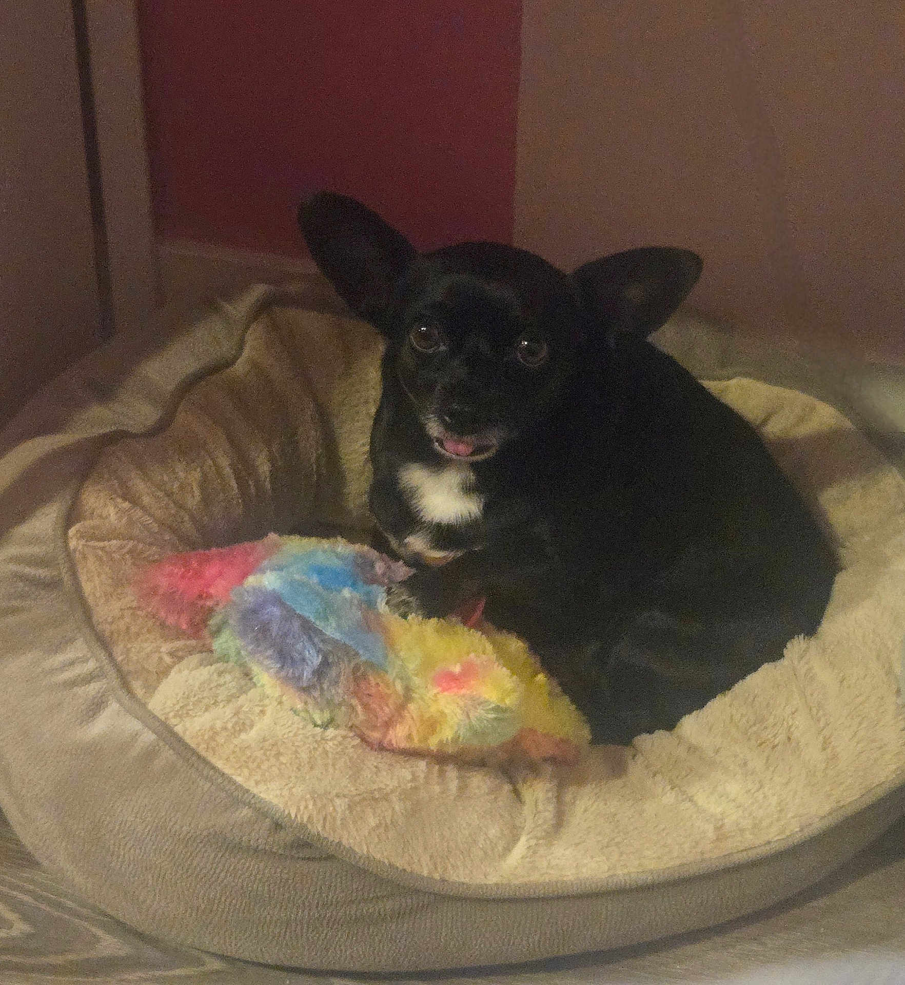 Luna