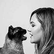 Sasha joined the competition — help win amazing prizes! animal, black_and_white, cat, closeup, communication, cute, expression, face_to_face, feline, furry, hair, human, indoor, interaction, monochrome, pet, portrait, profile, siamese_cat, woman