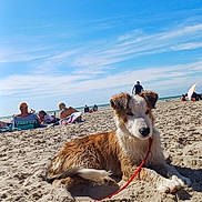 Vaincoeur a rejoint le concours — aidez-le/la à gagner de superbes lots ! accessories, architecture, beach, building, coast, face, head, nature, outdoors, person, photography, portrait, sea, shelter, shoreline, sky, soil, strap, summer, water