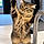 Billu