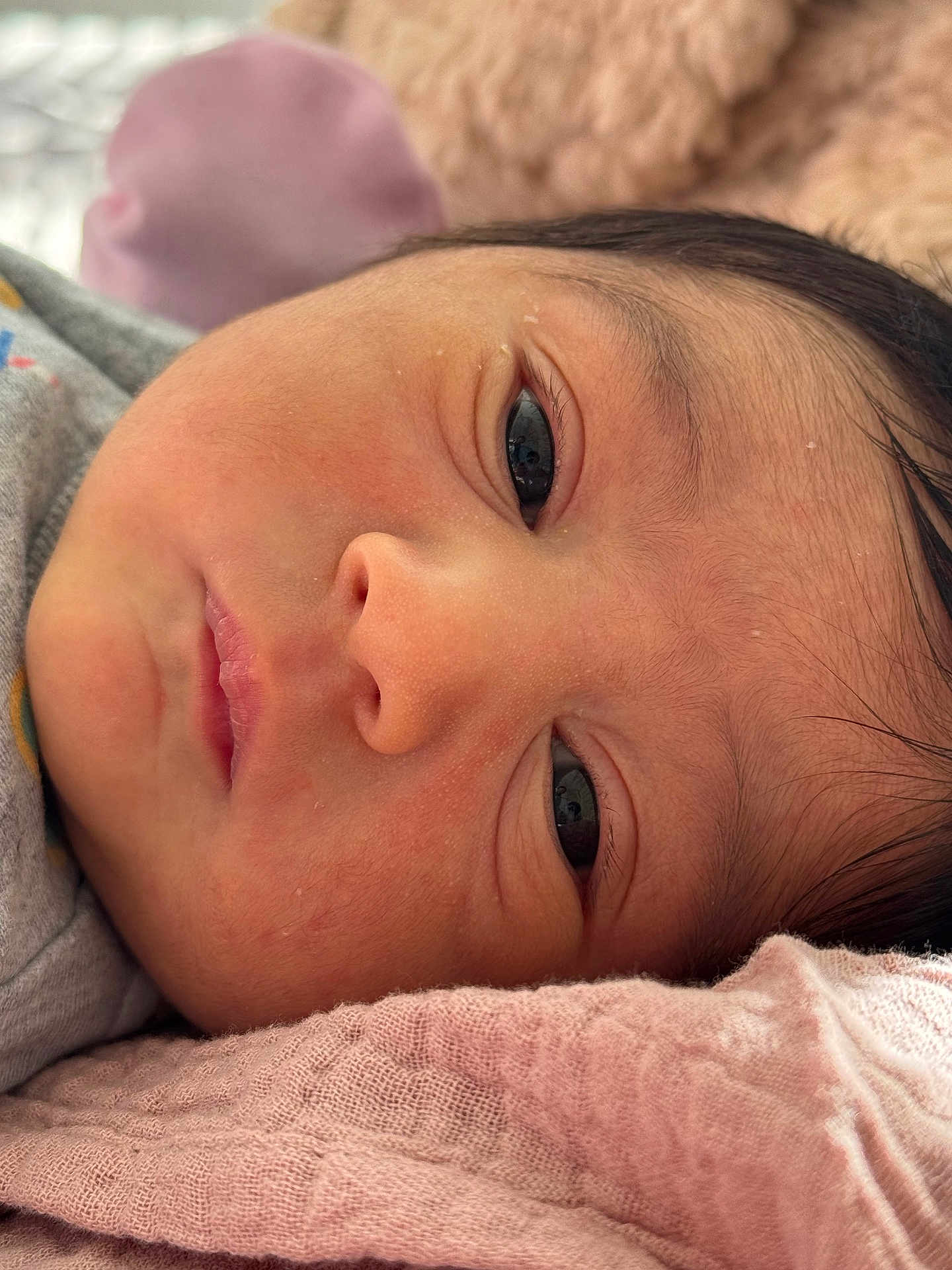 Alessia is registered to the contest to win money with this photo: baby, newborn, face, close_up, skin, blanket, pink, soft, hair, infant, portrait, lying_down, cozy, cute, sleepy, child, clothing, resting, toddler, newborn_baby