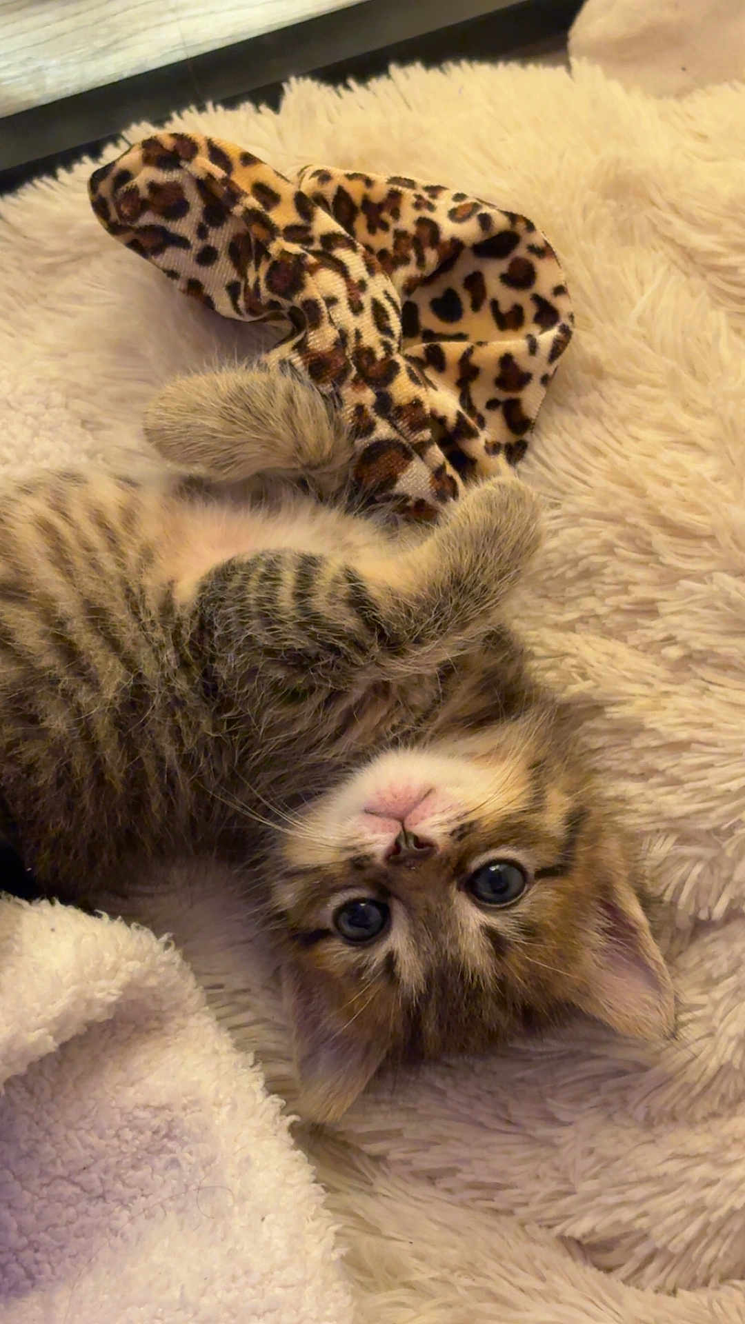 Winnie