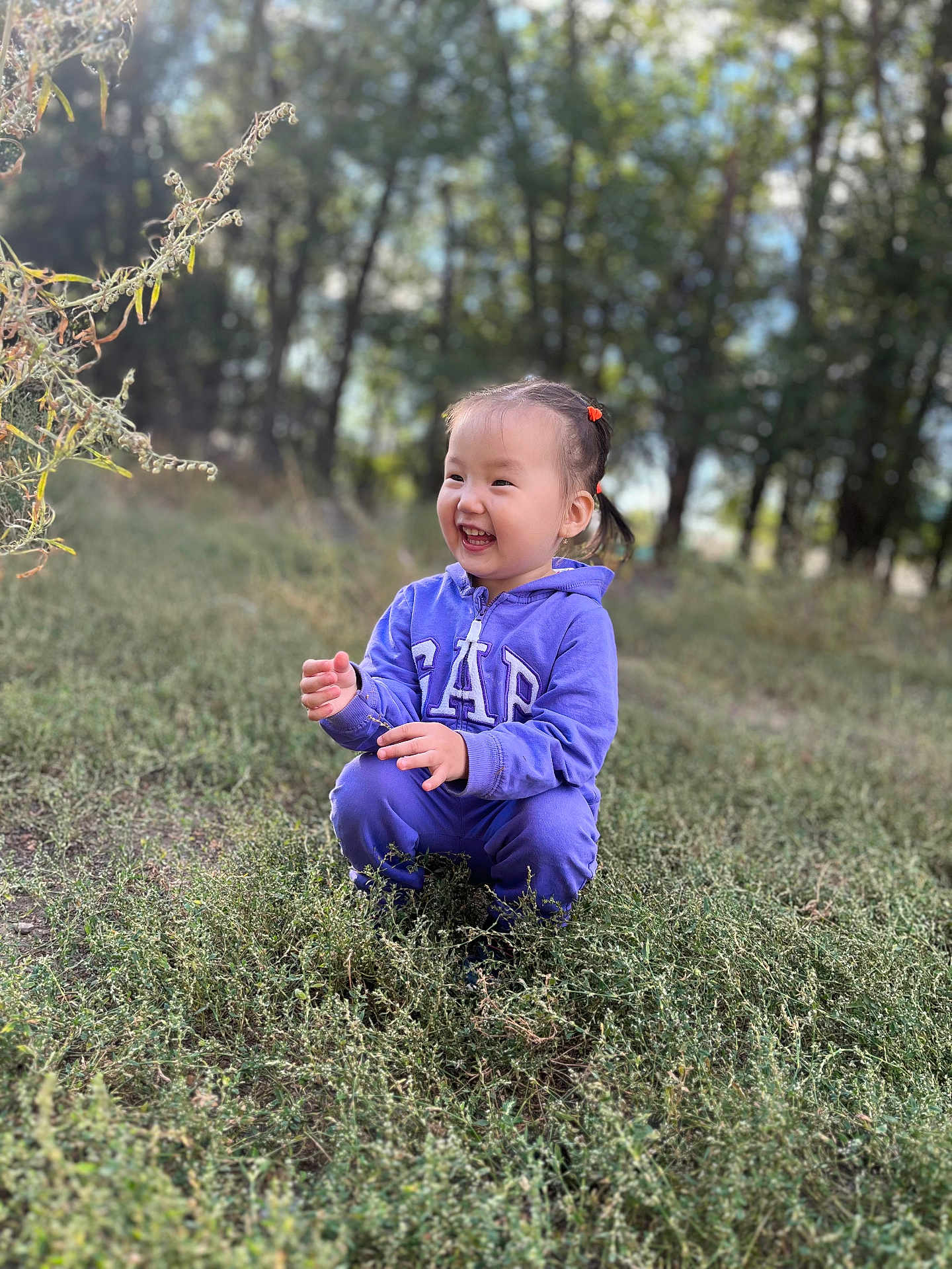 алия is registered to the contest to win money with this photo: child, toddler, purple_hoodie, outdoor, grass, nature, smile, laughing, pigtails, greenery, trees, daylight, casual_clothing, happy, cute, young, person, squatting, field, sunlight