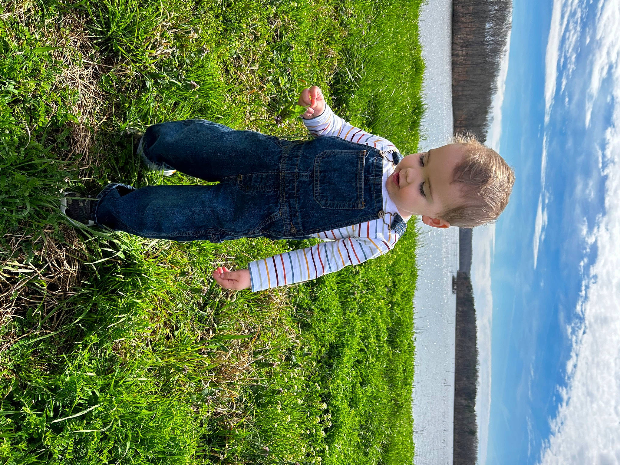 Weston joined the competition — help win amazing prizes! blue, child, cloud, electric_blue, fun, gesture, grass, happy, leisure, people_in_nature, person, plant, shadow, shrub, sky, toddler, tree, water