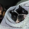 Hux joined the competition — help win amazing prizes! dog, blanket, person, glasses, car_interior, close_up, black_and_white, face, wrapped, cozy, pet, snuggled, curious, indoor, seat, candid, portrait, warm, young_adult, casual