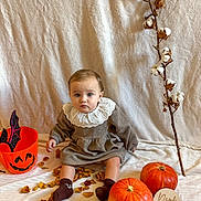 Ellie a rejoint le concours — aidez-le/la à gagner de superbes lots ! baby, child, pumpkin, halloween, cotton_branch, autumn, dried_petals, orange, brown_dress, ruffled_collar, socks, bucket, bat_wings, blanket, indoor, portrait, cute, fall_decor, sitting, decorations