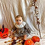 baby, child, pumpkin, halloween, cotton_branch, autumn, dried_petals, orange, brown_dress, ruffled_collar, socks, bucket, bat_wings, blanket, indoor, portrait, cute, fall_decor, sitting, decorations