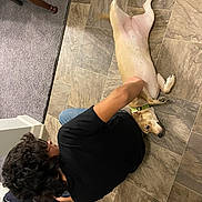 Luna is registered to the contest to win money with this photo: dog, person, floor, tile, carpet, indoor, petting, black_shirt, light_fur, collar, tail, paw, jeans, shoe, back, head, hair, relaxation, comfort, home