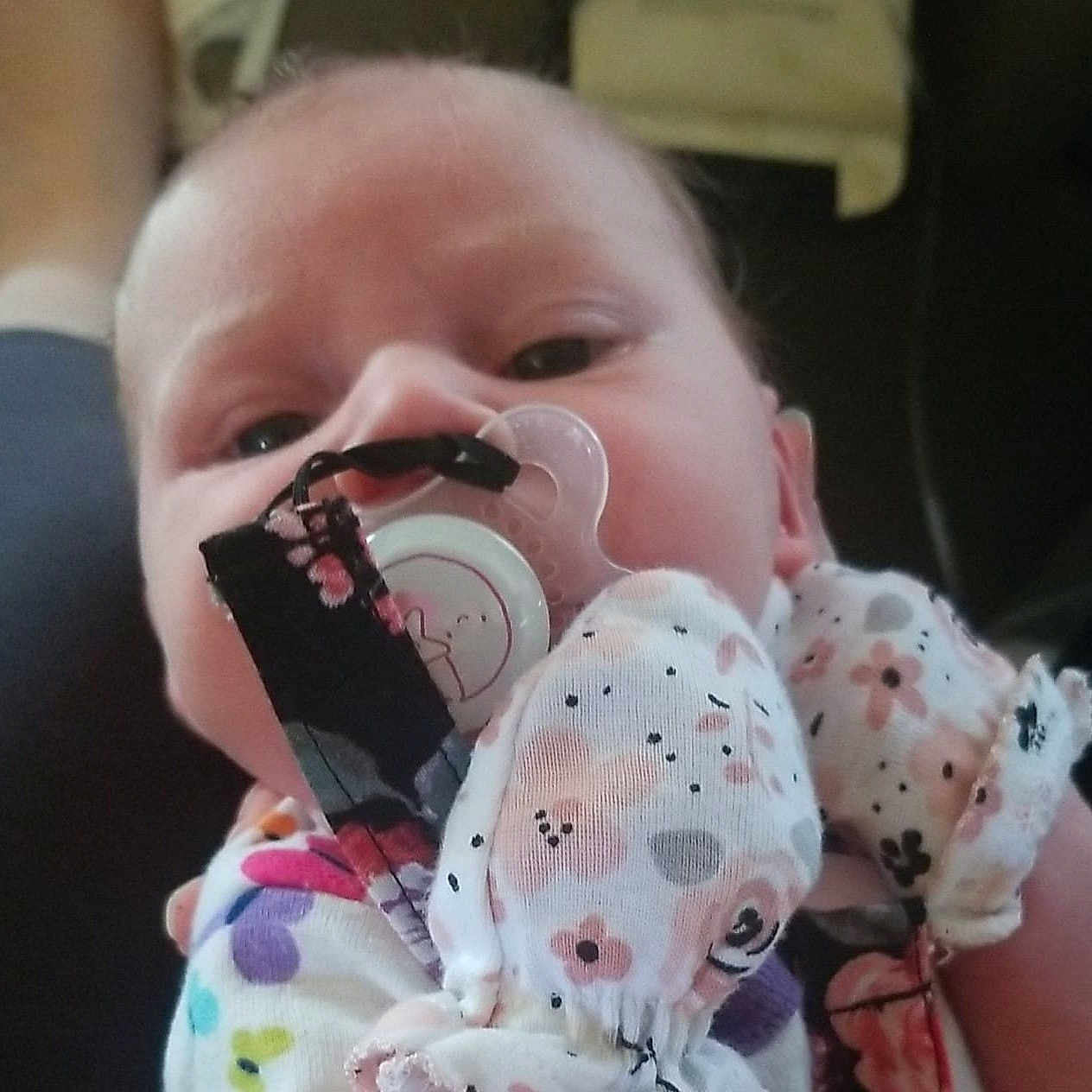 Kaylyn joined the competition — help win amazing prizes! baby, birth, cheek, child, dalmatian, ear, face, head, non_sporting_group, nose, puppy_love, snout, toddler