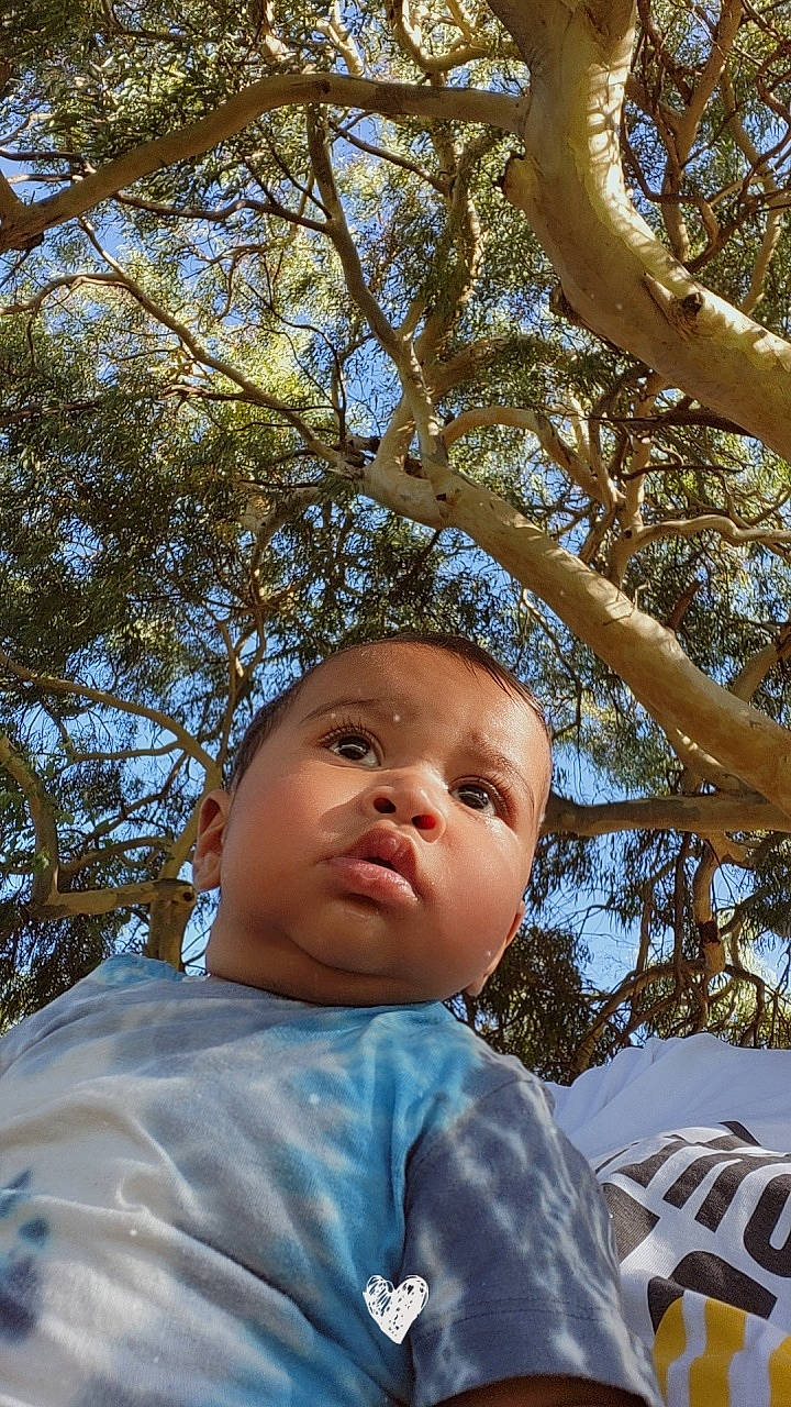 Santiago is registered to the contest to win money with this photo: baby, botany, branch, child, fun, grass, hairstyle, happy, headwear, leisure, people_in_nature, person, plant, sky, spring, sunlight, t_shirt, toddler, tree, twig